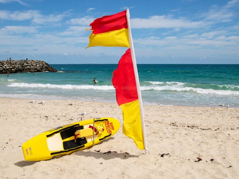 $4.2 million expansion to improve shark safety this summer