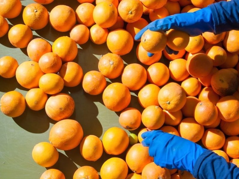 Sustainability the key to unlocking ag workforce puzzle