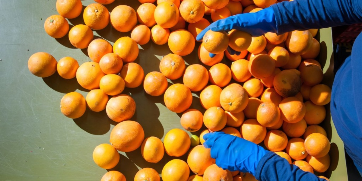 Sustainability the key to unlocking ag workforce puzzle