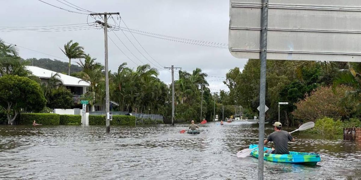 $1 Auctions return to the Northern Rivers