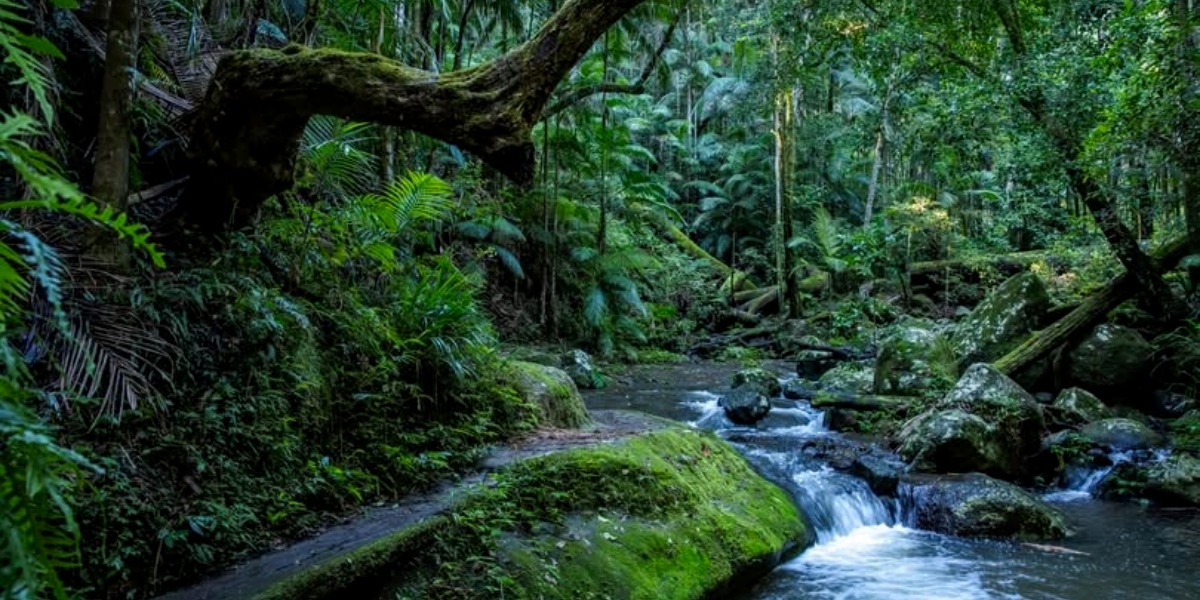 Go walking this Women’s Week