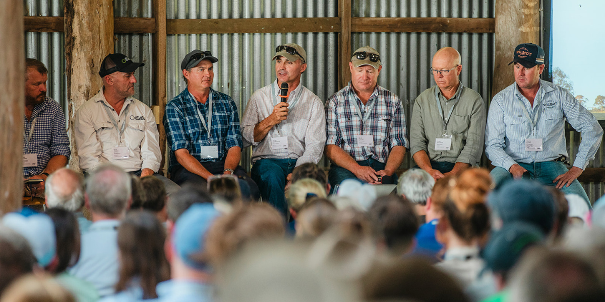 Rethinking farming at Wilmot Field Day