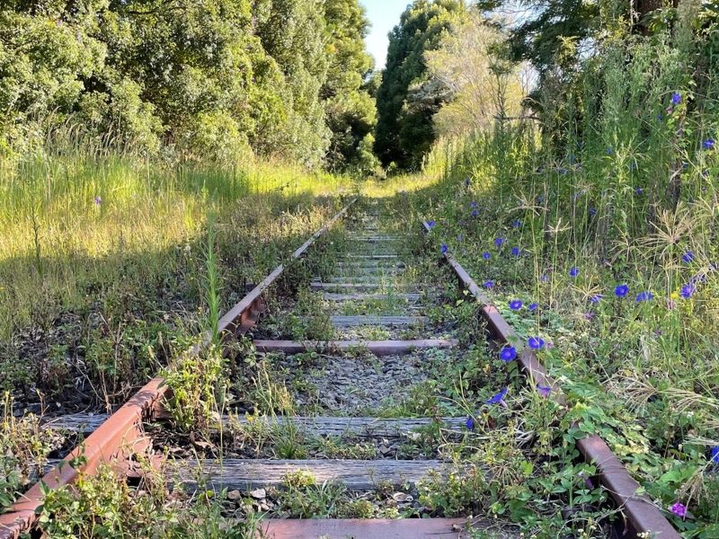 A trail without rail for Byron shire