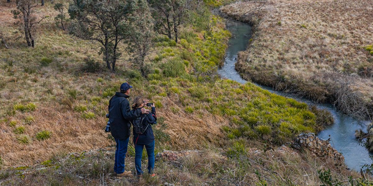 Free weekend celebration marks 50 years of Werrikimbe National Park