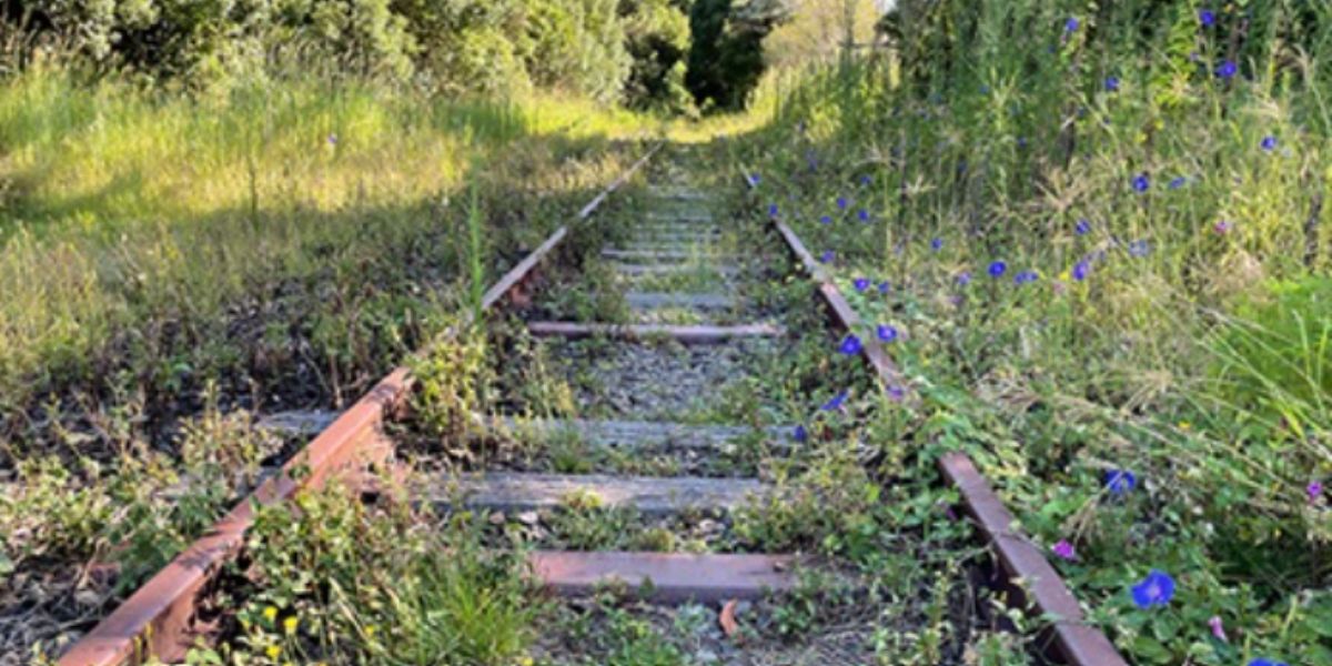A trail without rail for Byron shire