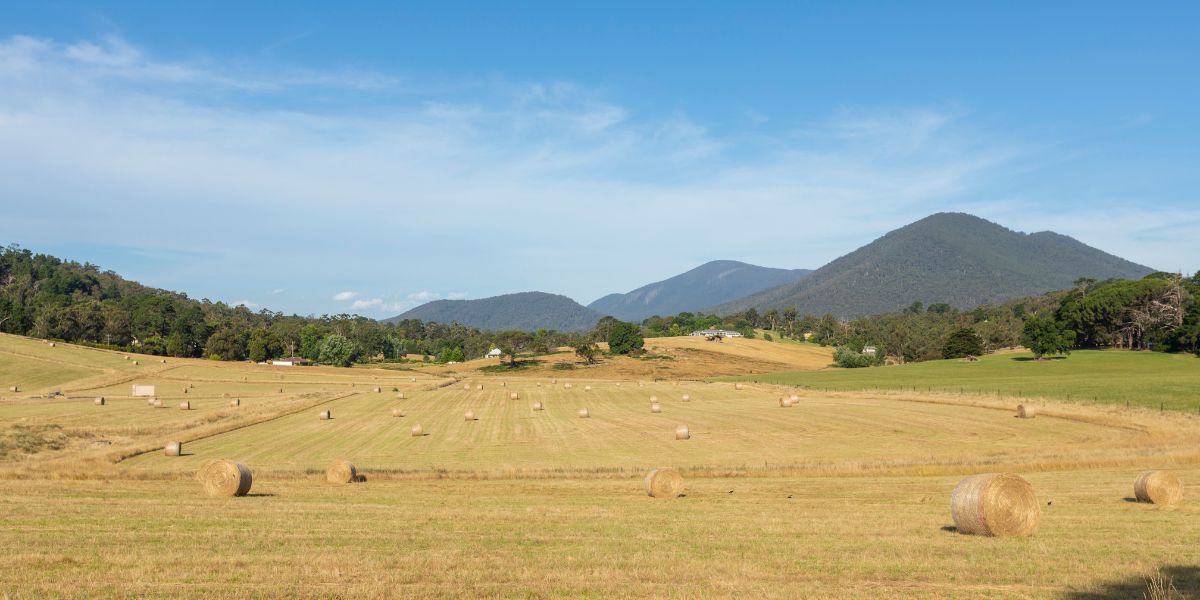 Farmer confidence plummets amid cost crisis