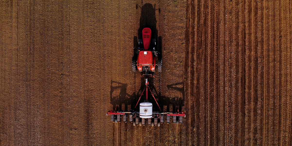 Double hit: fuel and fertiliser crisis raises fears for winter crops