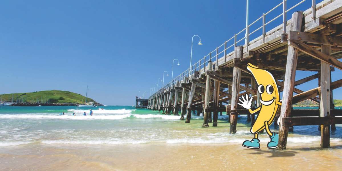 Coffs to go bananas with world record bid at Jetty Beach