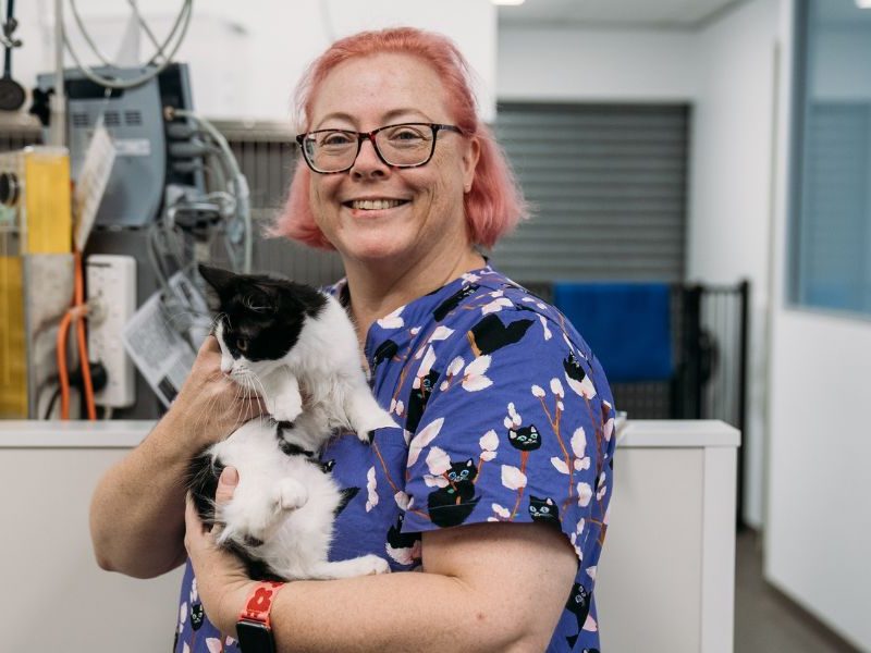 North Coast and Mid North Coast rehoming groups share in state funding boost