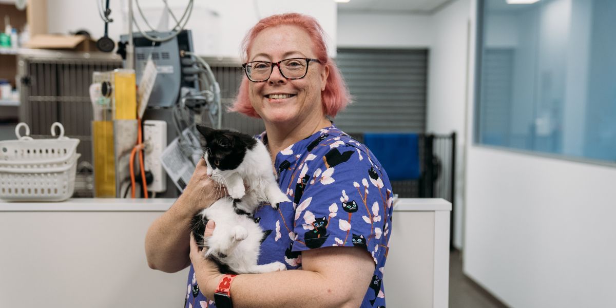 North Coast and Mid North Coast rehoming groups share in state funding boost