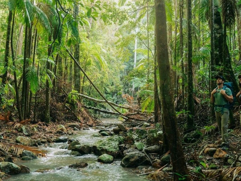 Survey shows surge in visitors to North Coast national parks