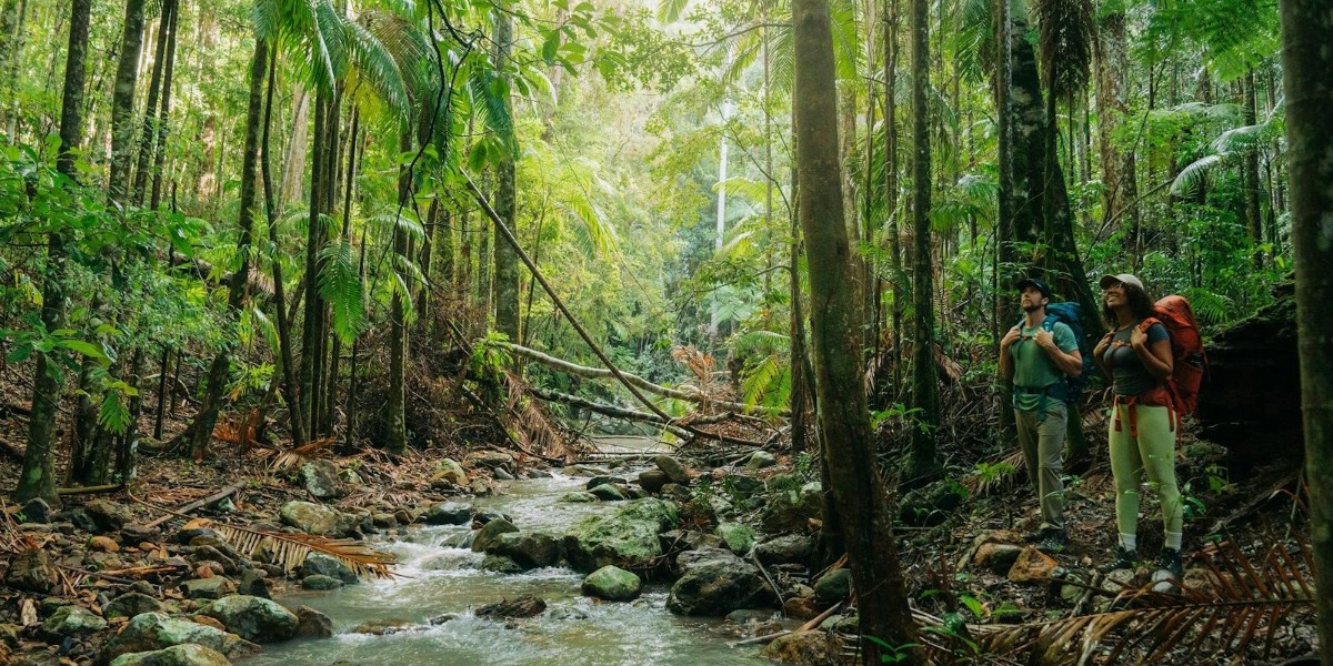 Survey shows surge in visitors to North Coast national parks