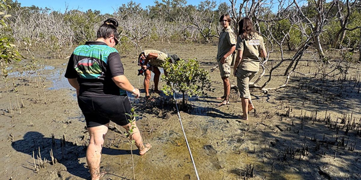 Gumbaynggirr estuary health and coastal resources to be monitored through co-designed project