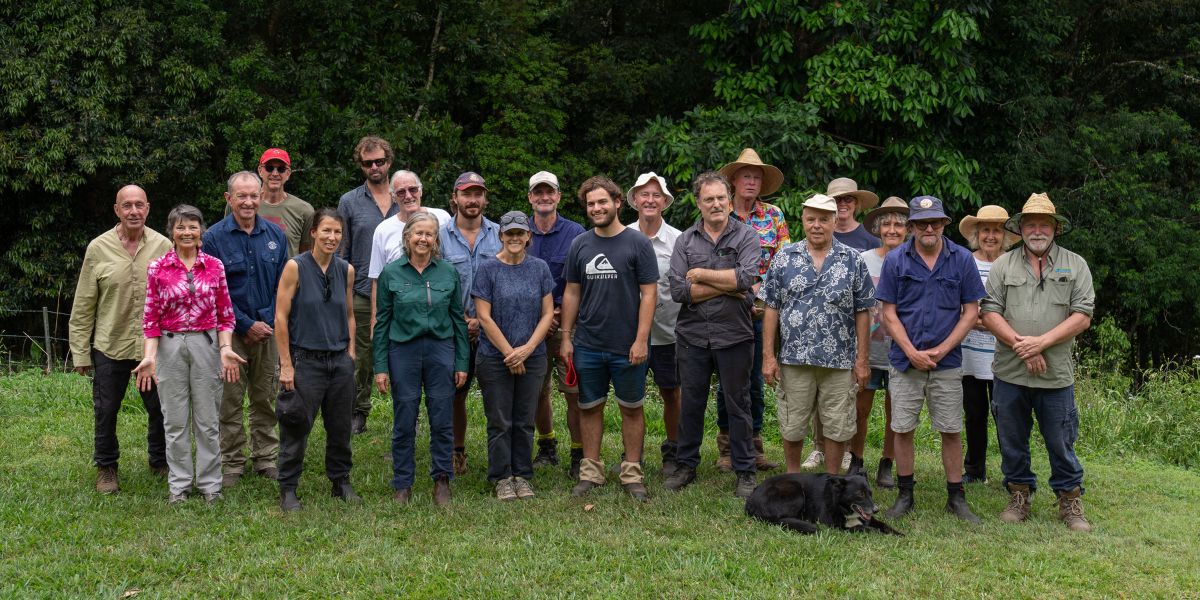 Tree Farmer: A new resource for North Coast landholders