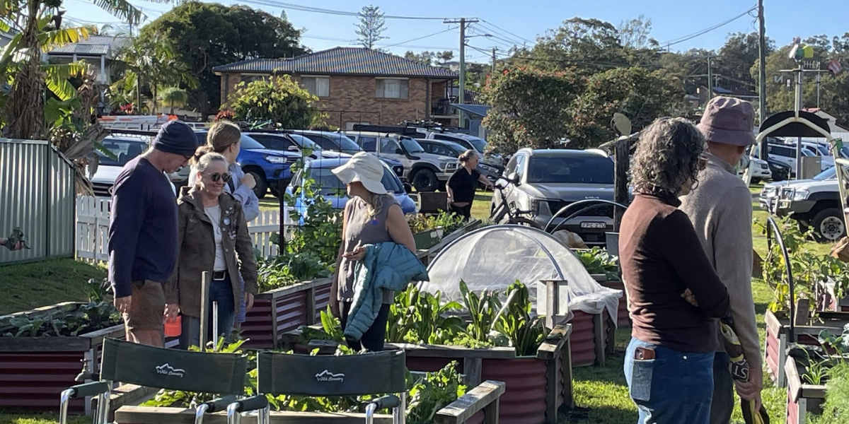 Bush tucker and bees: Scotts Head grows a season of community events