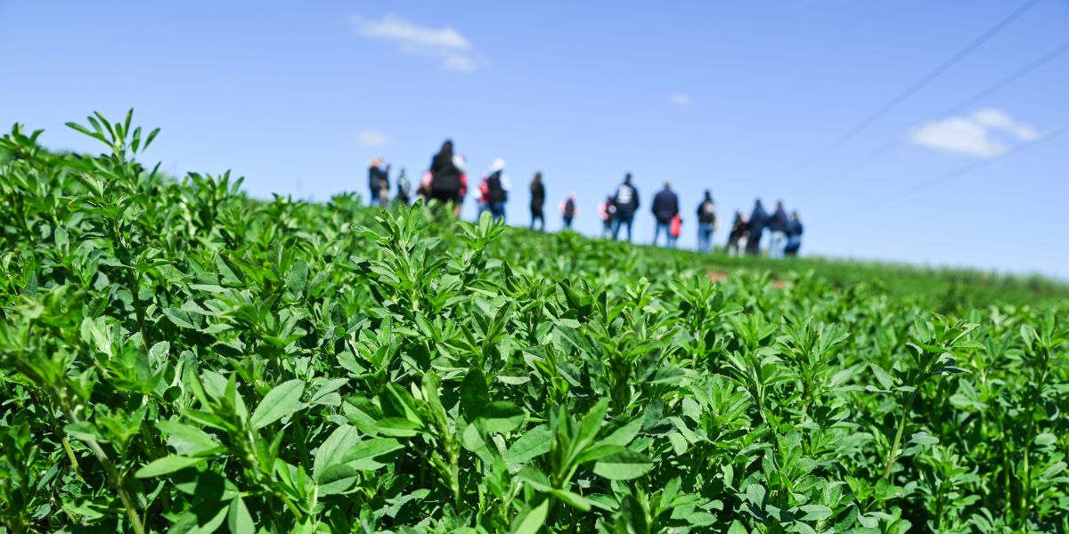 Disease doesn’t wait for slow and inefficient bureaucracy, says CropLife
