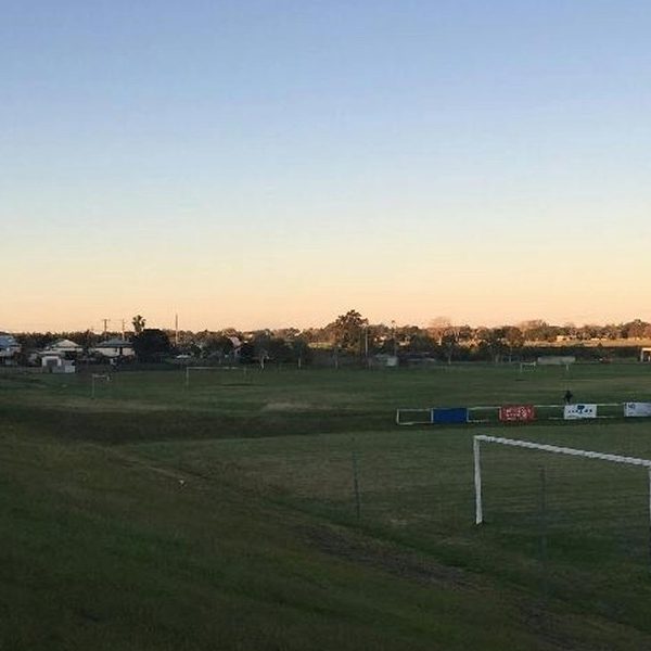 Bindiis and clovers on notice as Kempsey Shire’s annual spray returns