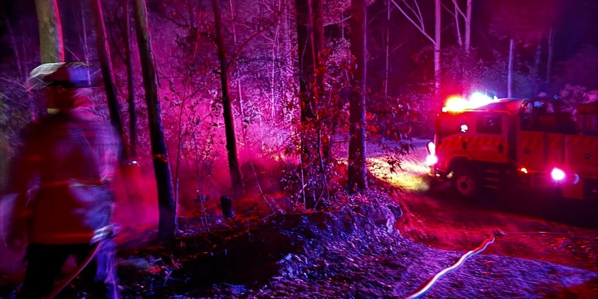 Bellingen bushfire boast: teen who allegedly bragged about “burning koalas” gets bail