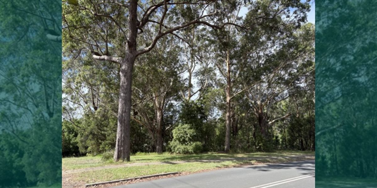 Ferry Street land trust proposal moves forward