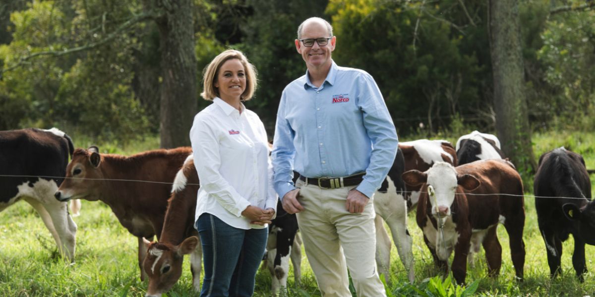 Taree dairy farmer’s flood battle reflects growing pressure on Australian agriculture