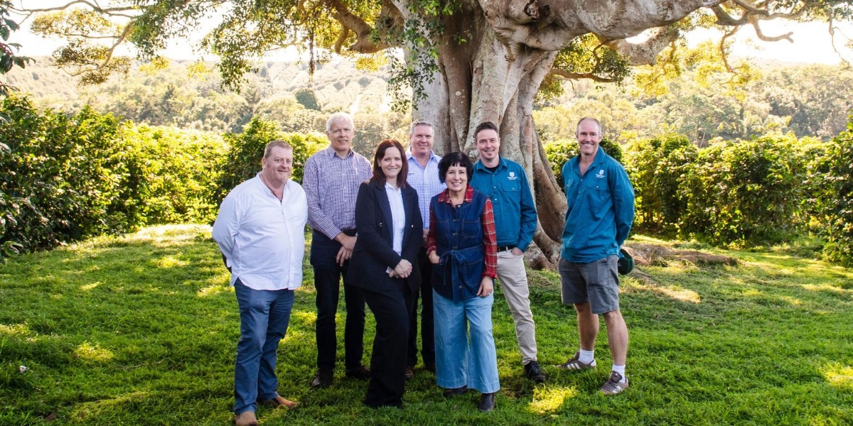 Southern Cross University to lead $4 million push to grow Australia’s own coffee industry