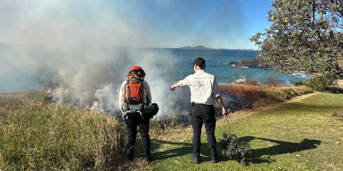 Fire returns to Country at Scotts Head for the first time in decades