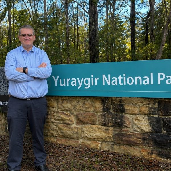 Local MP demands government halt aerial horse cull in Yuraygir National Park