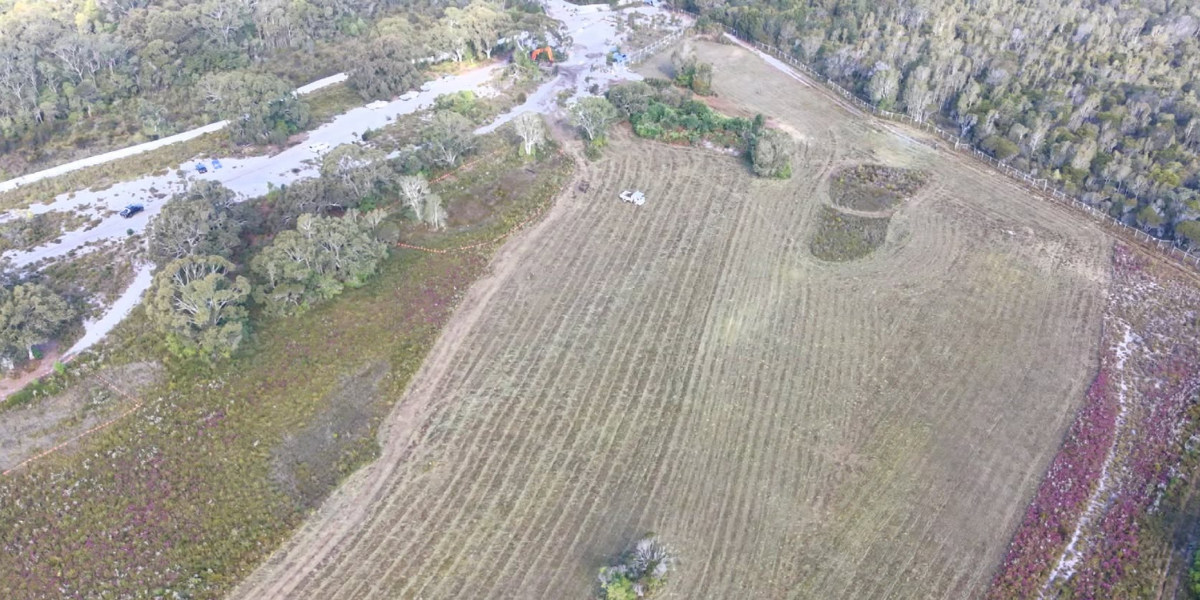 Wallum appeal deadline looms as bulldozers reach Brunswick Heads site
