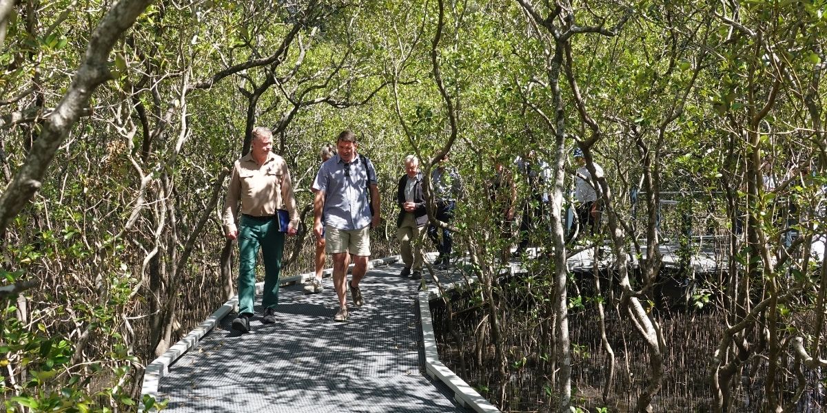 New mangrove boardwalk opens at Coffs Harbour Botanic Garden