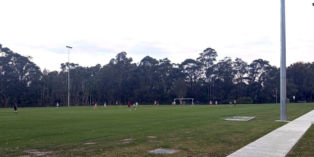 Toormina sports upgrades headline strong quarter for Coffs Harbour