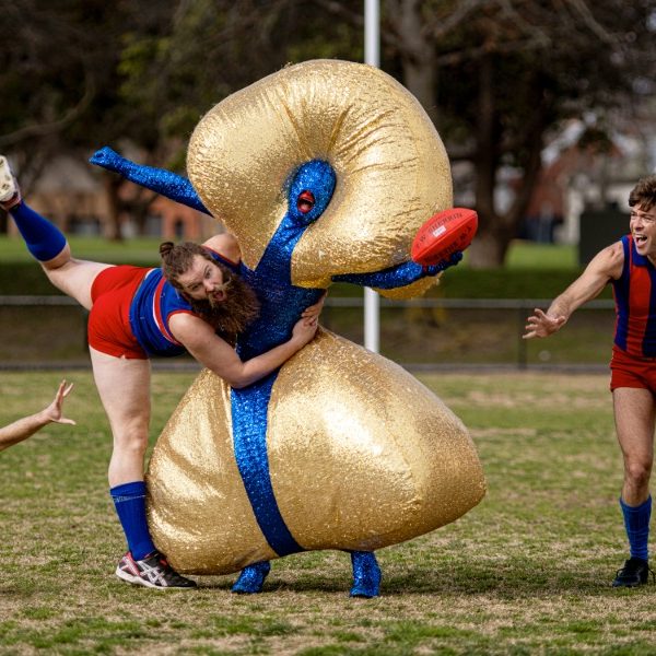 Three touring shows bring fresh art wave to Coffs YAM