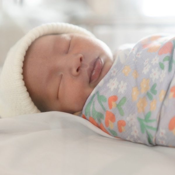 Lismore’s tiniest babies to get donated breast milk closer to home