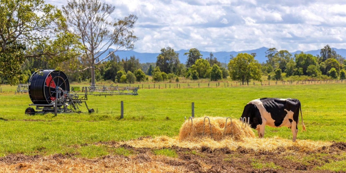 Farmers need answers on Labor’s new environment laws