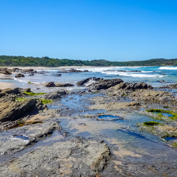 Flood refuge reborn as Evans Head holiday hotspot