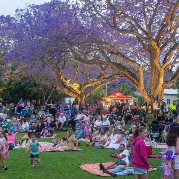 Grafton set to turn purple as Jacaranda Festival opens
